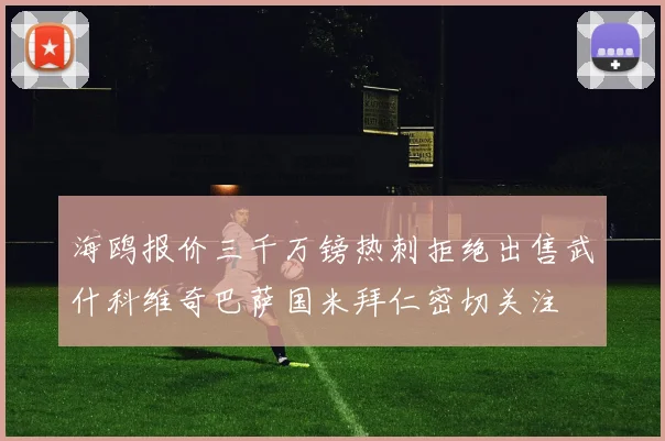 海鸥报价三千万镑热刺拒绝出售武什科维奇巴萨国米拜仁密切关注